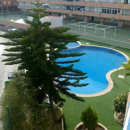Estudio Ally *