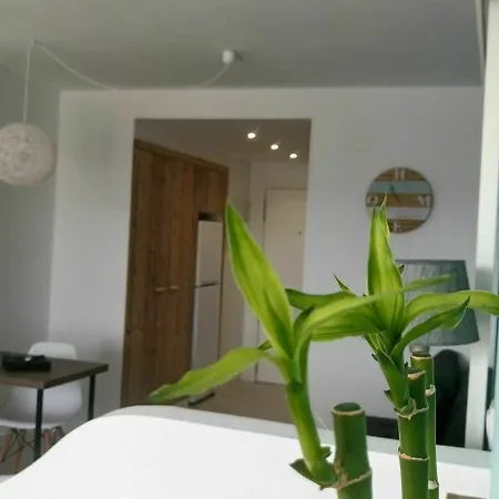 Estudio Ally Apartment *