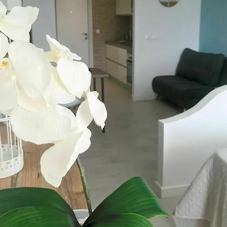 Estudio Ally Appartement *